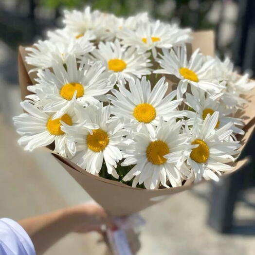 Ромашки 17 шт букет