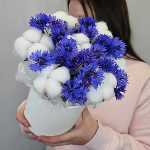 Васильки с хлопком