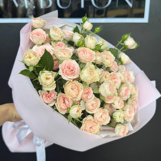 Maison Blush Spray Roses 🌸
