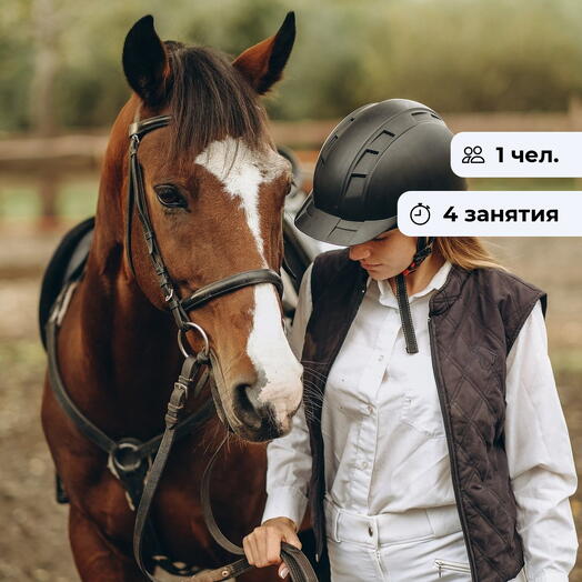 Мастерство всадника.  Курс верховой езды