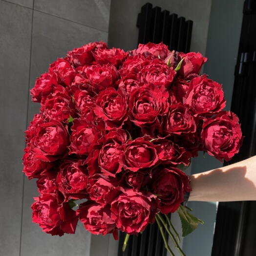 Букет из эксклюзивной кустовой розы 9 шт сорта Romeo, под ленту
