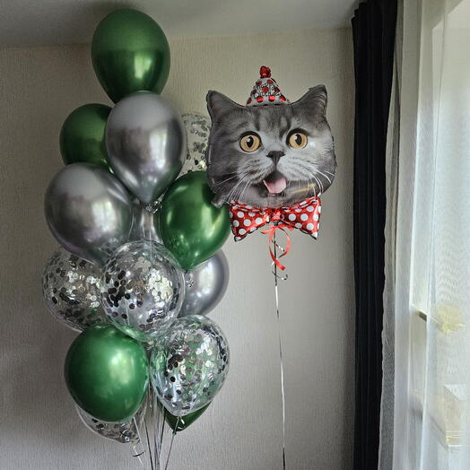 Фонтан из зелёных,серебрянных и конфетти серебряные и кот,котик, кот в колпаке для парня, дочки,сына,шары с котом-17шаров