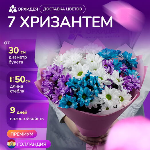 7 хризантем микс краш