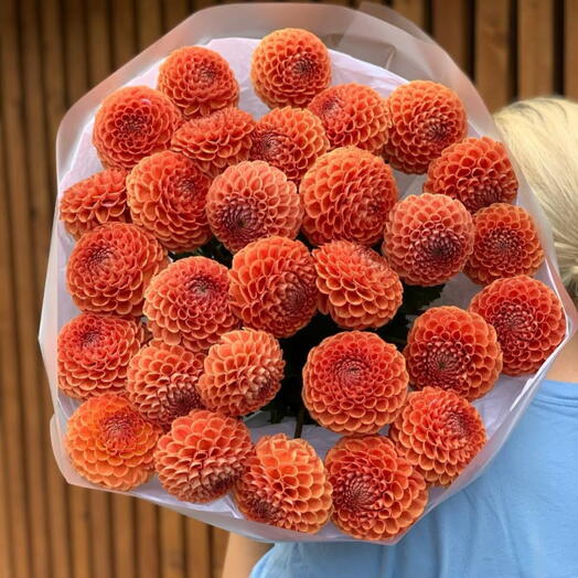 Георгины
