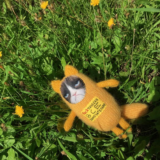 Игрушка котик ФАКТИЧЕСКИ ВСЕ ЗАМЕЧАТЕЛЬНО