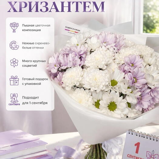 Объемный букет из белых кустовых хризантем Алтай , белых кустовых хризантем  ромашковых и розовых кустовых хризантем  ромашковых