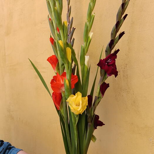 Букет💐 из 5 гладиолусов в ассортименте
