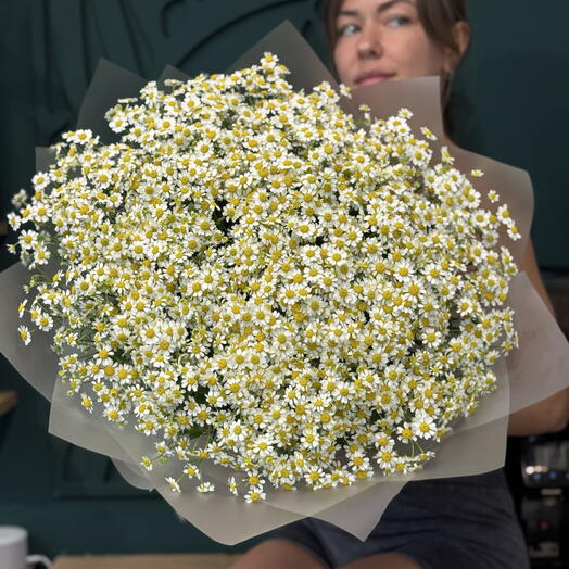 Роза