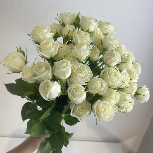 Кустовые розы белые