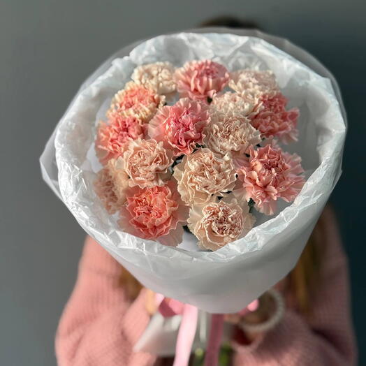 Микс из 15 диантусов