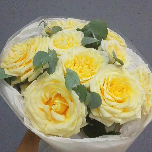 Нежное солнце