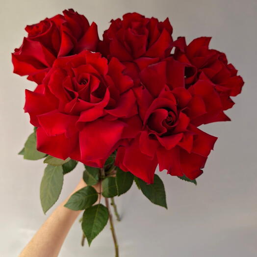 Букет из 5 французский роз🌹