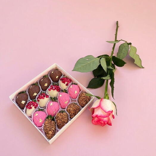 CHOCOBERRY SHOP64