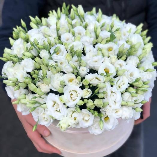 Flower box of Rafaello
