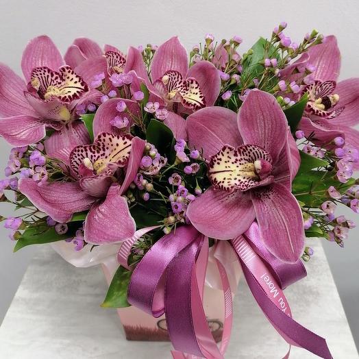 Beautiful💐 орхидеи