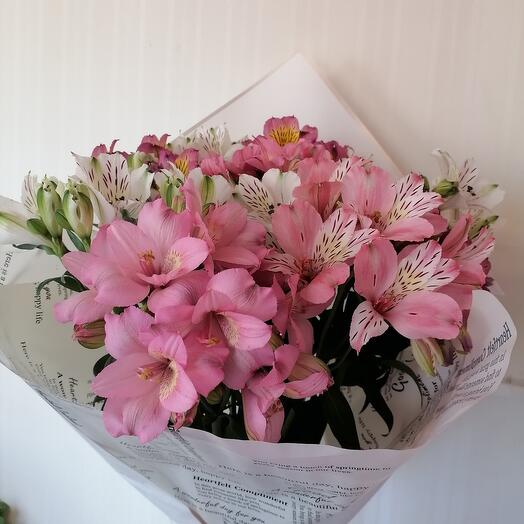 Alstroemeria mix