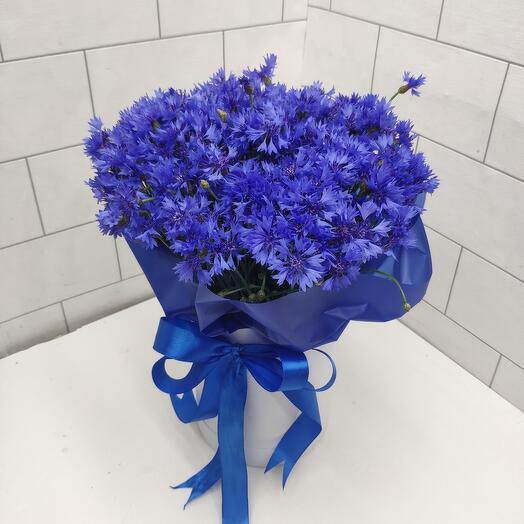 Cornflowers in a box