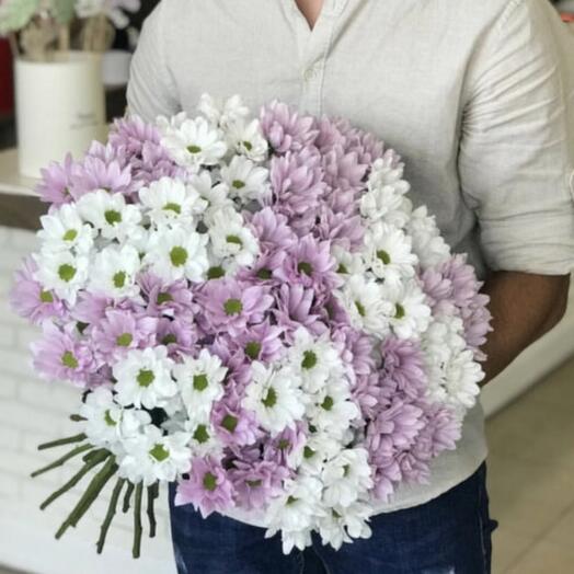 21 crisantemo blanco y rosa