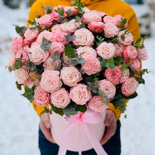 Tiernas rosas arbustivas Bombastic