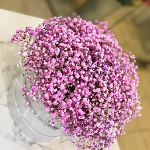 A box of gypsophilia