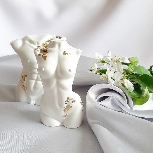 Plaster torsos male and female