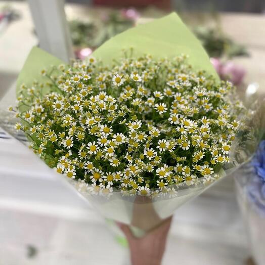 Daisies