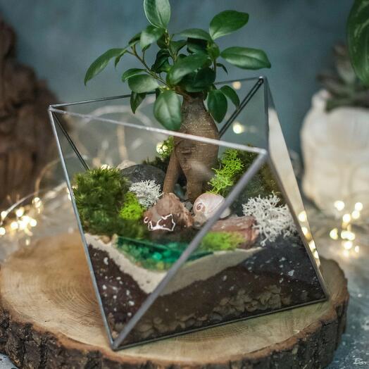 Octaedro M con ficus Ginseng y aljibe - 235