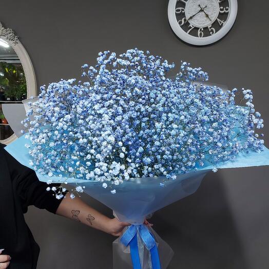Blue gypsophila 🦋