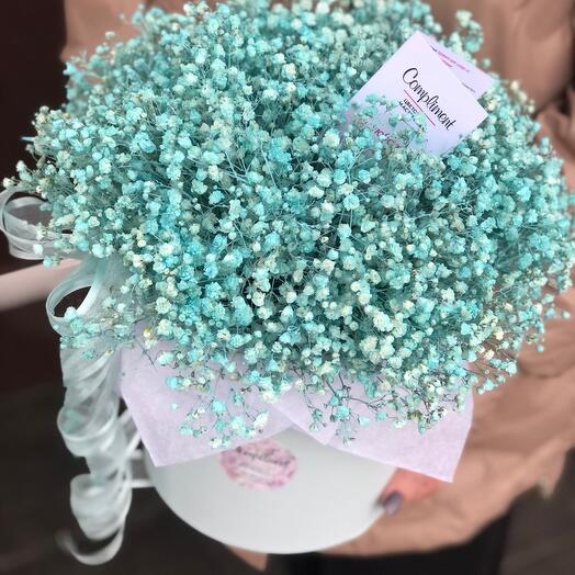 Gypsophila in a box