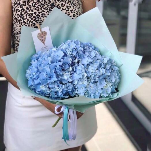 Hortensias azules