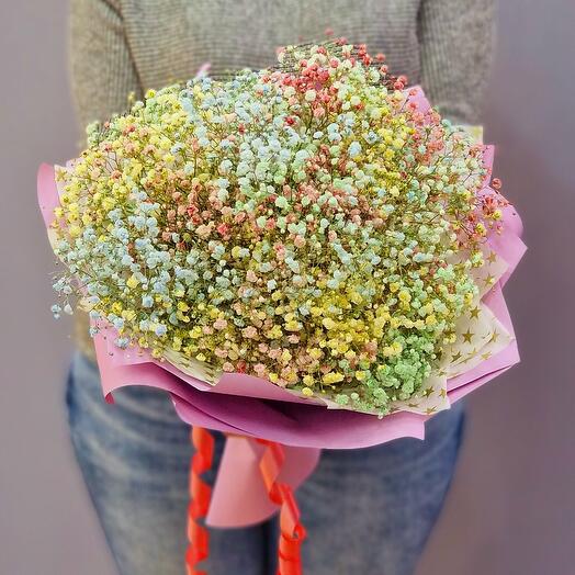 Ramo De Gypsophila Iridiscente