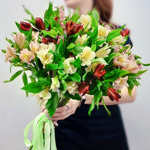 Alstroemeria Mix
