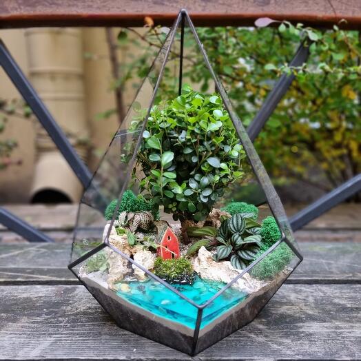 Флорариум с бонсаем в капле L