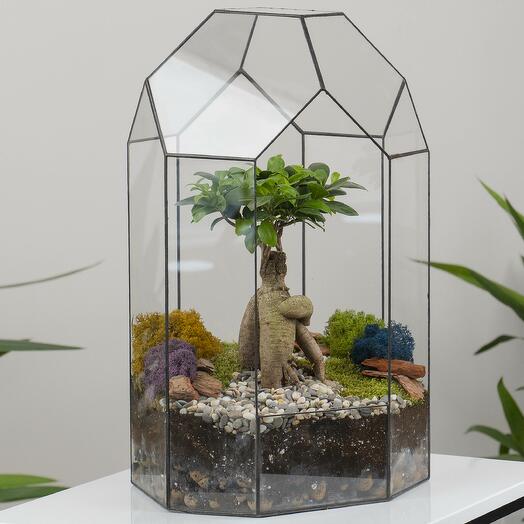 Bonsai in the Lighthouse Florarium
