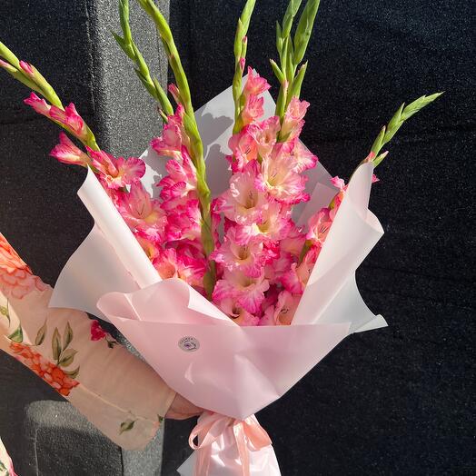 Pink gladiolus
