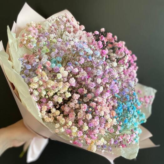 Gypsophila, A bouquet of gypsophila