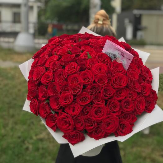Rosas 101 🌹