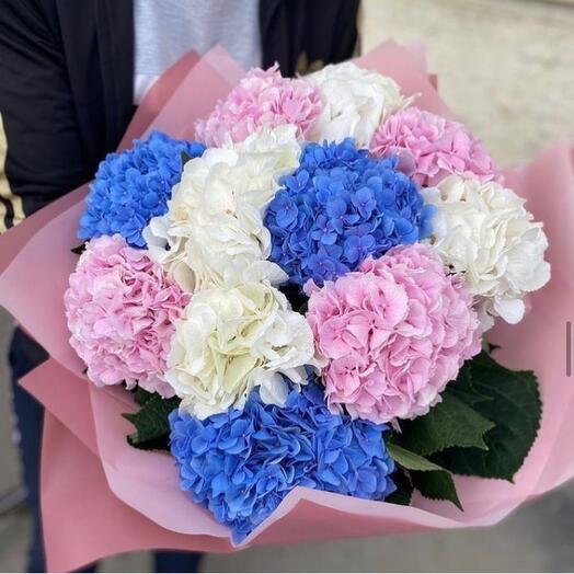 Ramo de hortensias tiernas