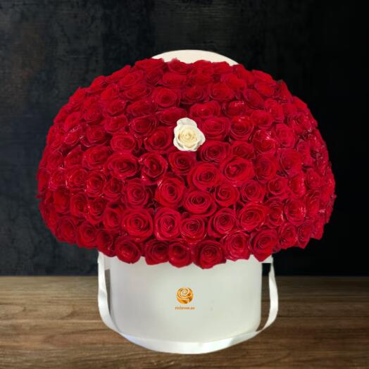 Luxury Red Roses Box