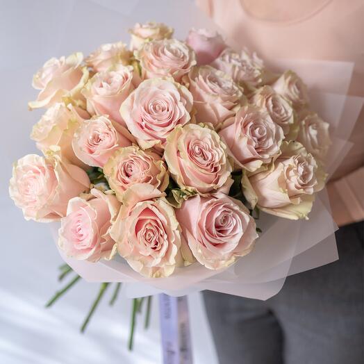 Buket ekvadorskih ruza svetlo roze boje (25 pcs.)