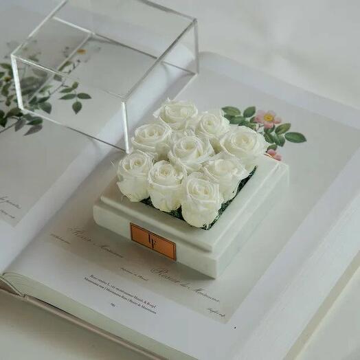 Marble White Nueve Infinity Rose