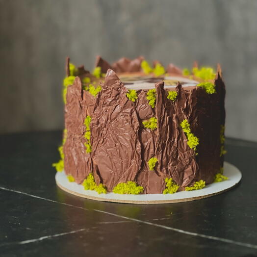 Торт Болото | С Днем рождения | 1 кг