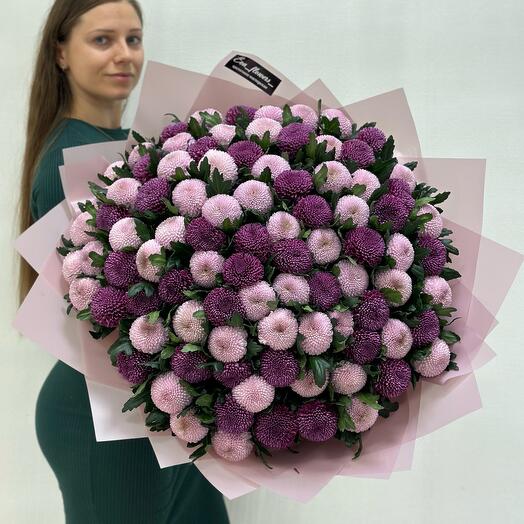 85 хризантем Мамокко 🦄