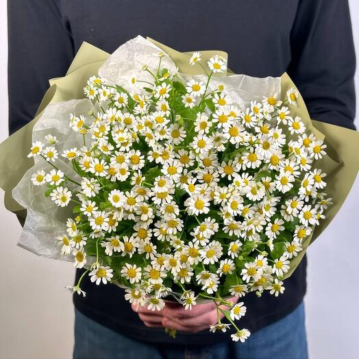 Bouquet of bush daisies (tanacetum)