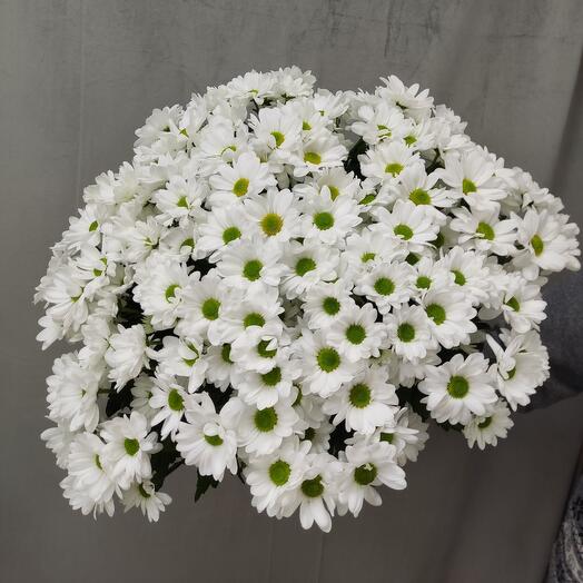 Букет из 15 ромашковых кустовых хризантем