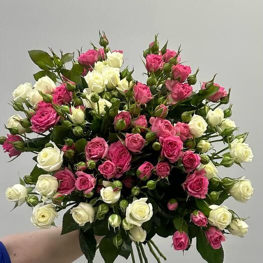 Роза кустовая 19