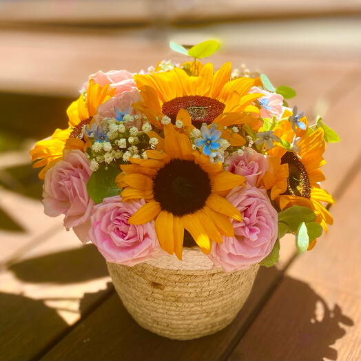 Field in a Basket