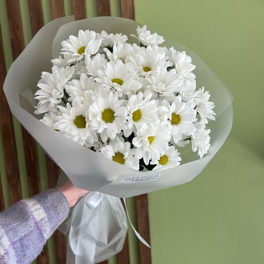 5 ромашковых хризантем