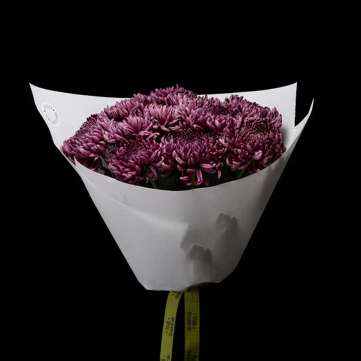 Хризантема Bigoudi Purlpe