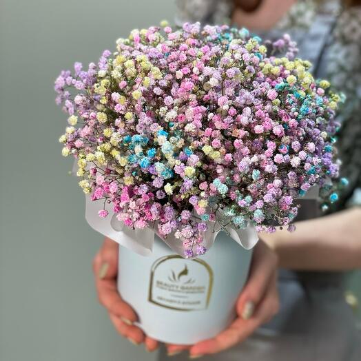 Es hora de amar a gypsophila en una Caja